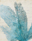 Set of Four 21" Blue Coral White Frame Wall Decor