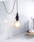 Brass Lantern Plastic Dimmable Ceiling Light