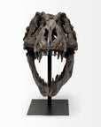 Authentic Replica T Rex Skull Sculpture