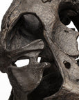 Authentic Replica T Rex Skull Sculpture