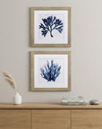 Set of Two Navy Underwater Coral Watercolor Wall Art