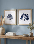 Set of Two 19" x 19" Deep Blue Sea Coral Watercolor Wall Art