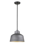 Barnes 1-Light Gray Convertible Pendant