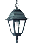 Matte Black Beveled Glass Outdoor Hanging Light
