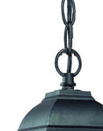 Matte Black Beveled Glass Outdoor Hanging Light