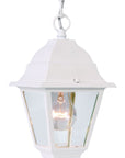 Distressed White Beveled Glass Outdoor Hanging Light