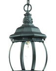 Matte Black Glass Globe Hanging Light