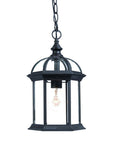 Matte Black Cage Hanging Light