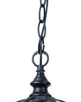 Matte Black Cage Hanging Light