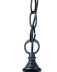 Matte Black Cage Hanging Light