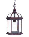 Dark Brown Cage Hanging Light