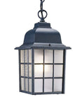 Matte Black Window Pane Lantern Hanging Light