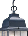 Matte Black Window Pane Lantern Hanging Light