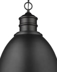 Black Metal Dimmable Ceiling Light With Black Shades