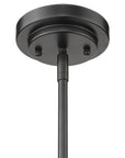 Amoret 4-Light Matte Black Convertible Pendant