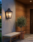 Black And Clear Two Light Frosted Dimmable Outdoor Hanging Lights With Black And Clear Shades