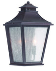 Black And Clear Two Light Seeded Dimmable Outdoor Hanging Lights With Black And Clear Shades