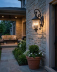 Black And Clear Three Light Seeded Dimmable Outdoor Hanging Lights With Black And Clear Shades