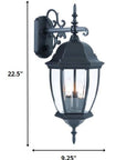 Matte Black Hanging Ornamental Lantern Wall Light