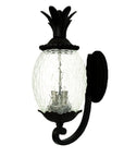 Matte Black Pineapple Wall Light