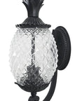 Matte Black Pineapple Wall Light