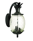Matte Black Hanging Pineapple Wall Light