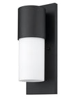 Black Frosted Dimmable Outdoor Hanging Light With Black And White Shades
