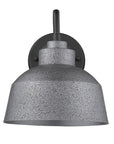 Barnes 1-Light Gray Wall Light