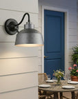 Barnes 1-Light Gray Wall Light