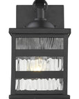 Glass panel Matte Black Outdoor Cage Light