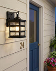 Glass panel Matte Black Outdoor Cage Light