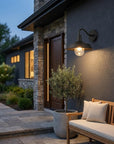 Black Seeded Dimmable Outdoor Hanging Light With Black Shades