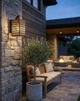 Bronze And Clear Seeded Dimmable Outdoor Hanging Light With Bronze And Clear Shades