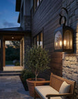 Black And Clear Two Light Transparent Dimmable Outdoor Hanging Lights With Black And Clear Shades