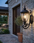 Black And Clear Seeded Dimmable Outdoor Hanging Light With Black And Clear Shades