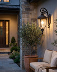 Black And Clear Seeded Dimmable Outdoor Hanging Light With Black And Clear Shades