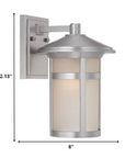 Silver And White Frosted Dimmable Outdoor Hanging Light With Silver And White Shades