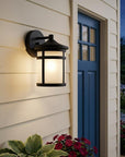Matte Black Hanging Lantern Shape Wall Light