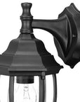 Matte Black Hanging Globe Lantern Wall Light