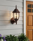 Dark Brown Globe Lantern Wall Light