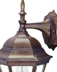 Dark Brown Hanging Carousel Lantern Wall Light