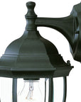 Matte Black Wide Hanging Lantern Wall Light