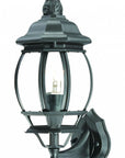 Matte Black Ornamental Glass Globe Wall Light