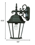 Matte Black Domed Glass Hanging Lantern Wall Light