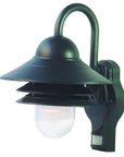 Matte Black Motion Sensor Outdoor Wall Light