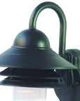 Matte Black Motion Sensor Outdoor Wall Light