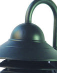 Matte Black Motion Sensor Outdoor Wall Light
