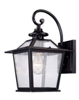 Matte Black Terrarium Shape Wall Light