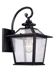 Matte Black Terrarium Shape Wall Light