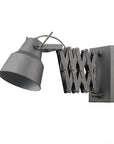 Plexus 1-Light Gray Sconce